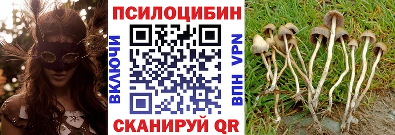 Галлюциногенные грибы Cubensis что такое наркотик Павловская